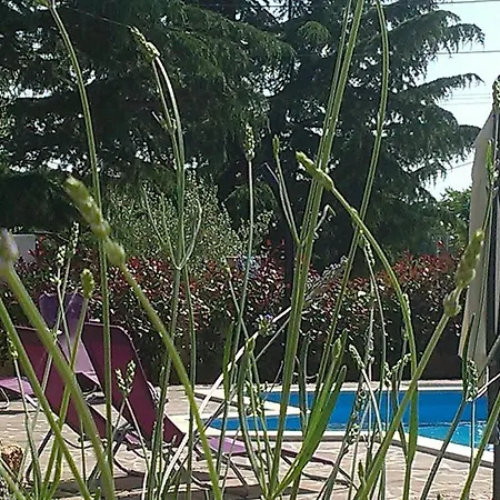 Nina With Private Pool Near בית נופש *